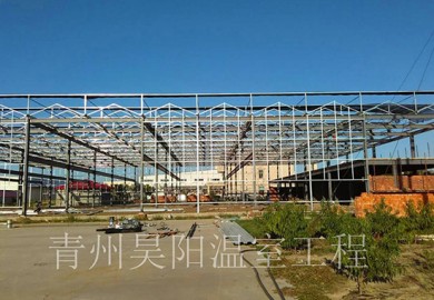 溫室大棚建設(shè)的技術(shù)要點(diǎn)